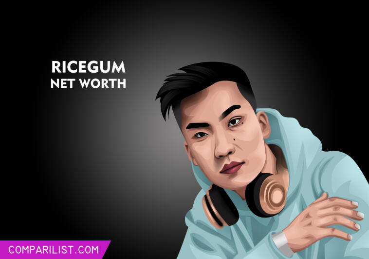 RiceGum Net Worth 2019 | Sources of Income, Salary and More