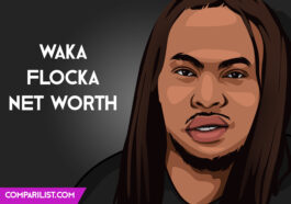 Waka Flocka Net Worth 2019