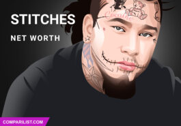 Stitches Net Worth 2019 salary source of income